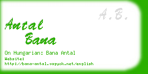 antal bana business card